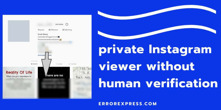 Uses of private Instagram viewer without human verification