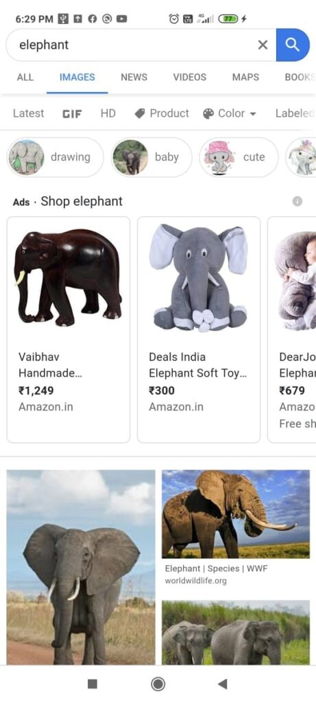 search image named elephant