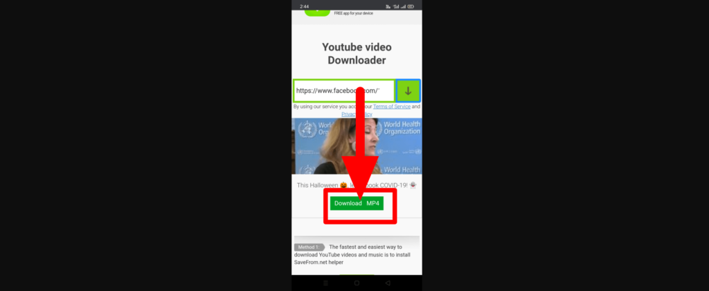 Download video using Download Mp4 button