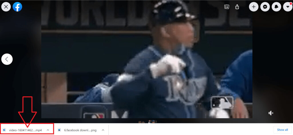 Facebook Download Videos Stored in Local Computer Storage