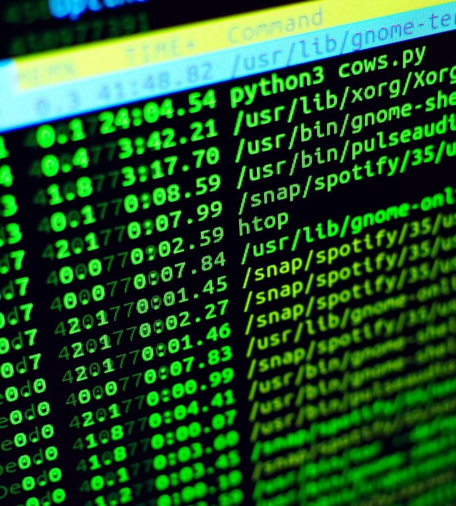 Choosing the programming languages