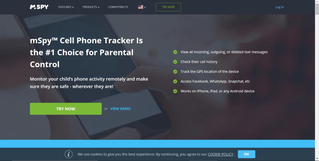MSPY Application Homepage