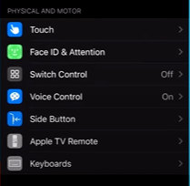 Iphone Voice Control option screen