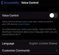 Turn Off Iphone Voice Control Option