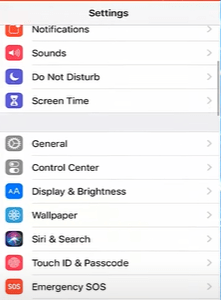 Search Siri on Iphone