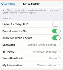 Enable Siri on Iphone Screen