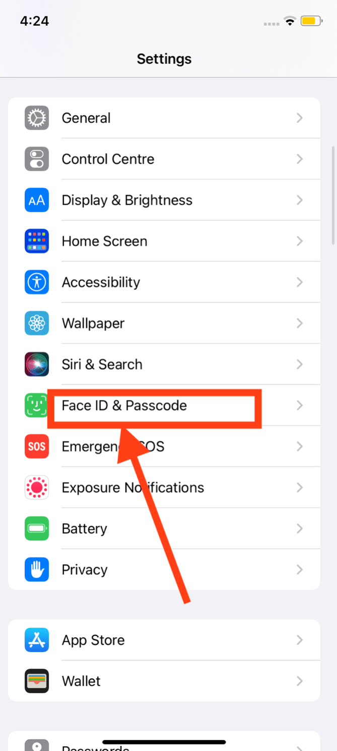 iphone FaceID & Passcode option