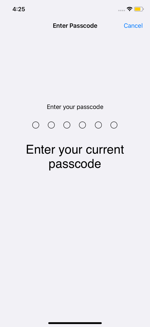 iphone enter your current passcode screen