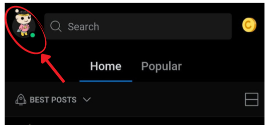 your Reddit avatar icon