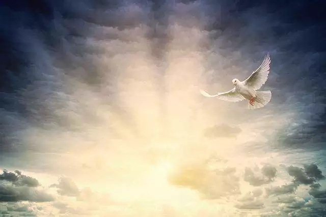 Focus for Holy spirits