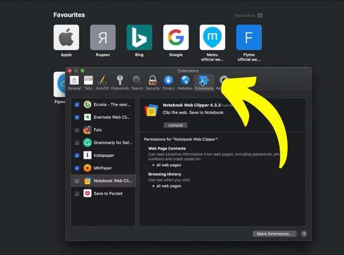 Extension tab on safari