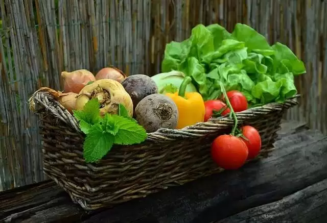 Consume right food that helps to flush alcohol from urine