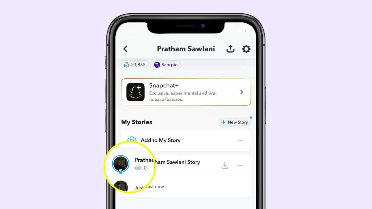 How to See Who is in a Private Story