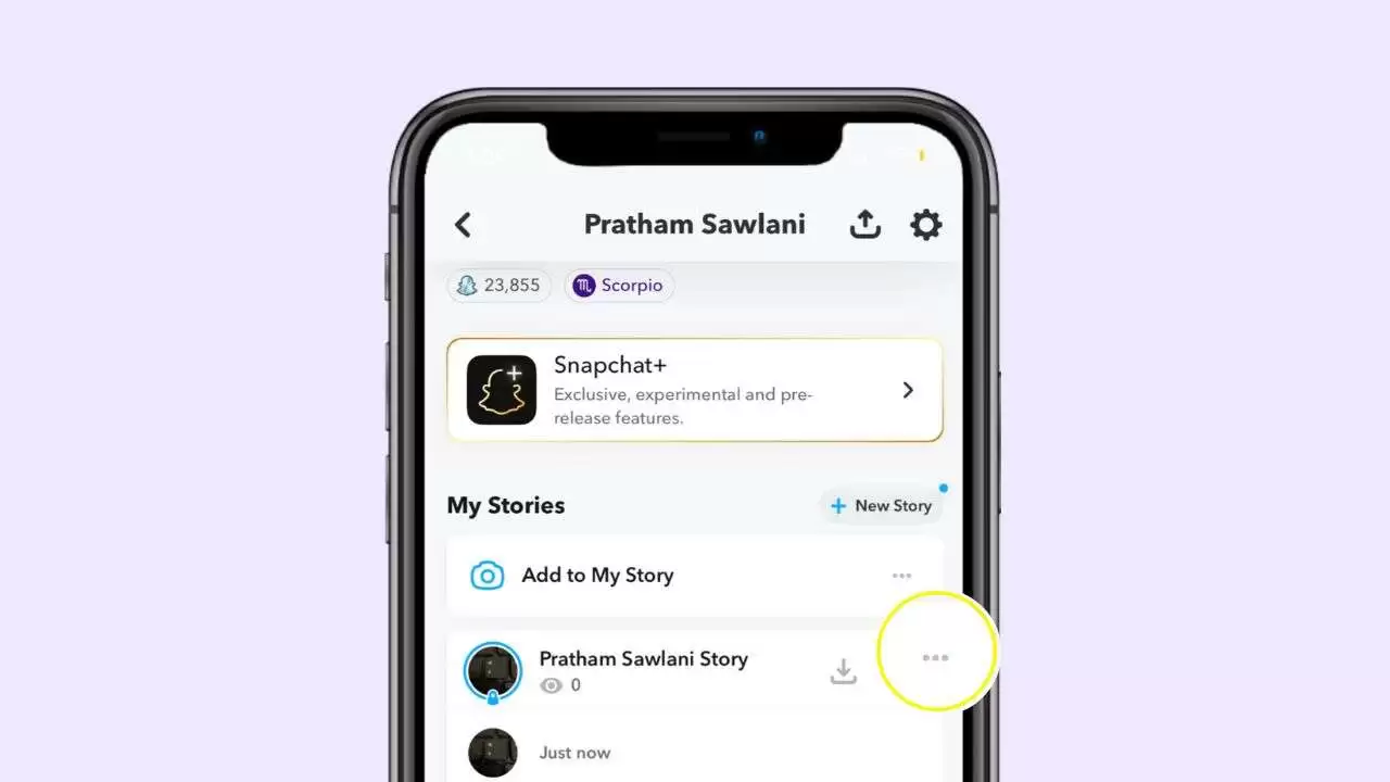View who has seen your story