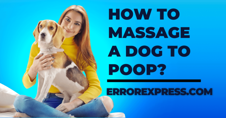 How to Massage a Dog to Poop {Help Guide}
