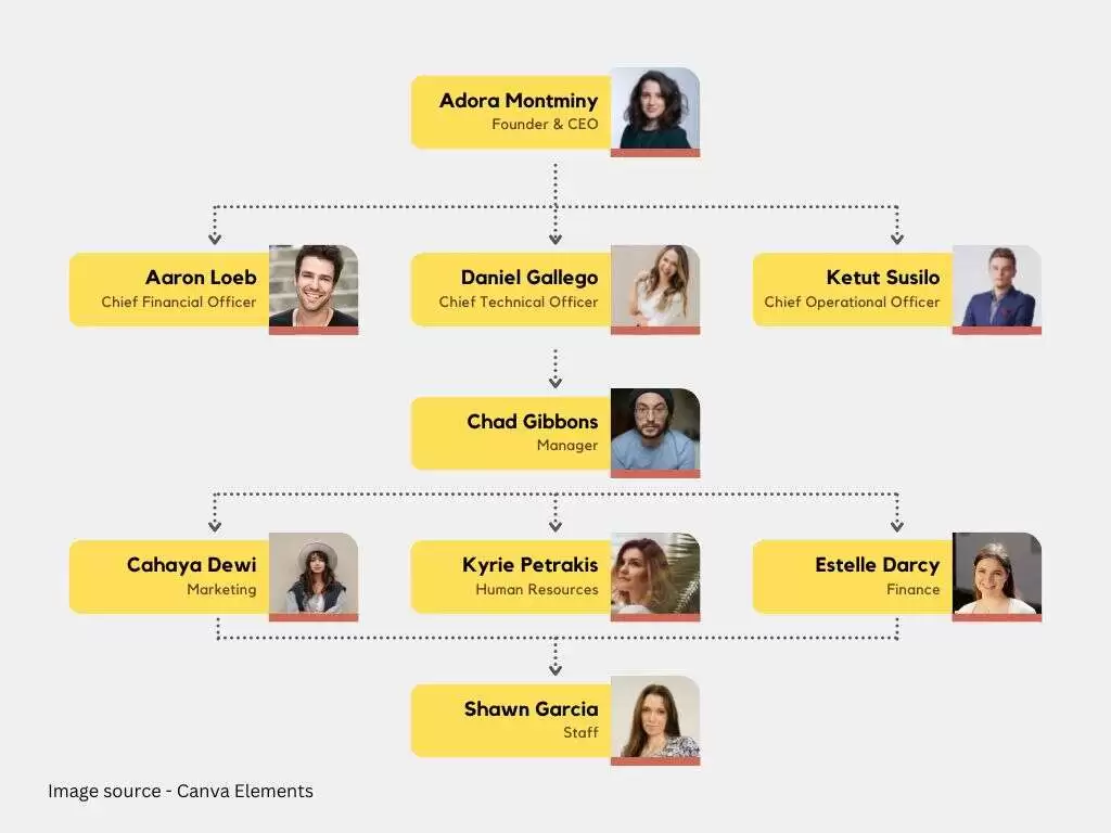 organizational hierarchy