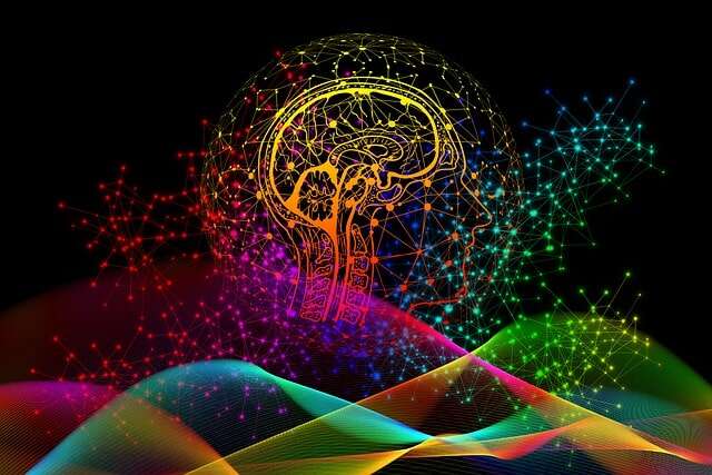 Brain Areas That Are Affected More By The Addiction To Substance Abuse