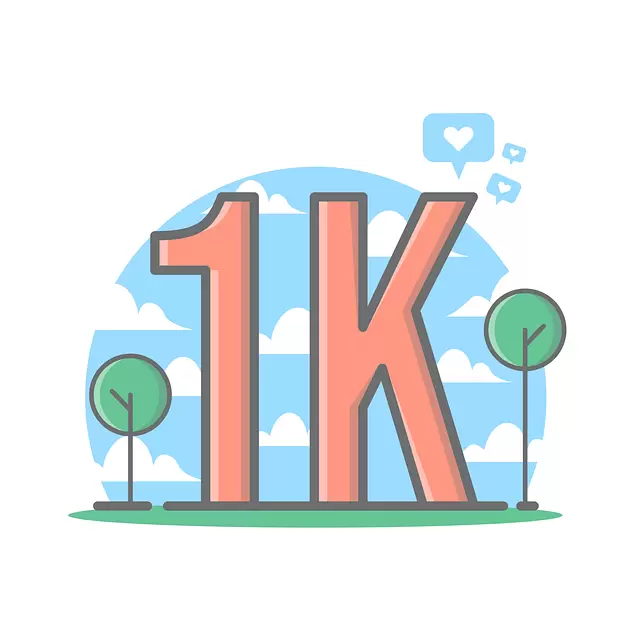 Instagram Followers 