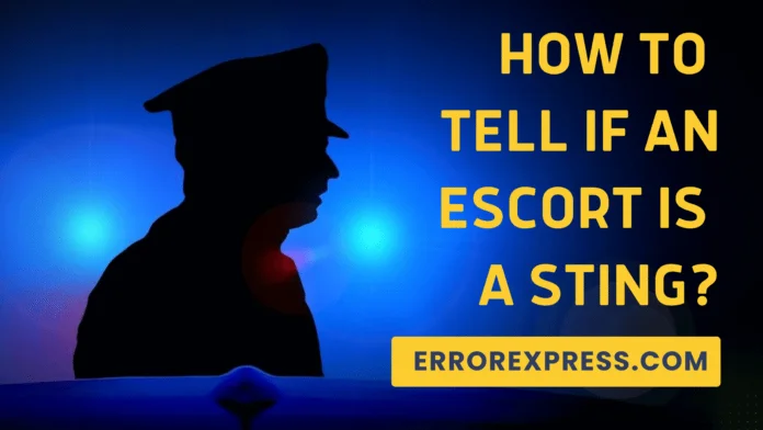 How To Tell If An Escort Is A Sting {Easy Tips}