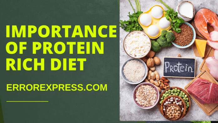 Importance of Protein Rich Diet