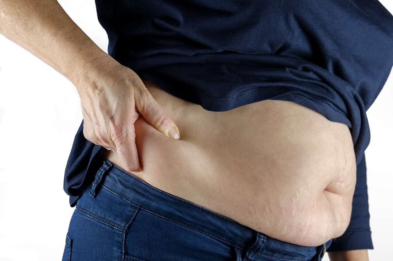 Belly fat image