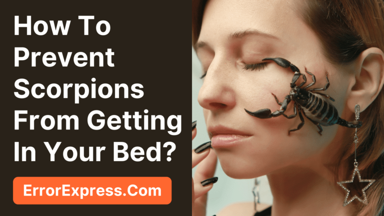 How To Prevent Scorpions From Getting In Your Bed {Easy Tips}