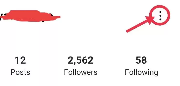 Instagram followers count