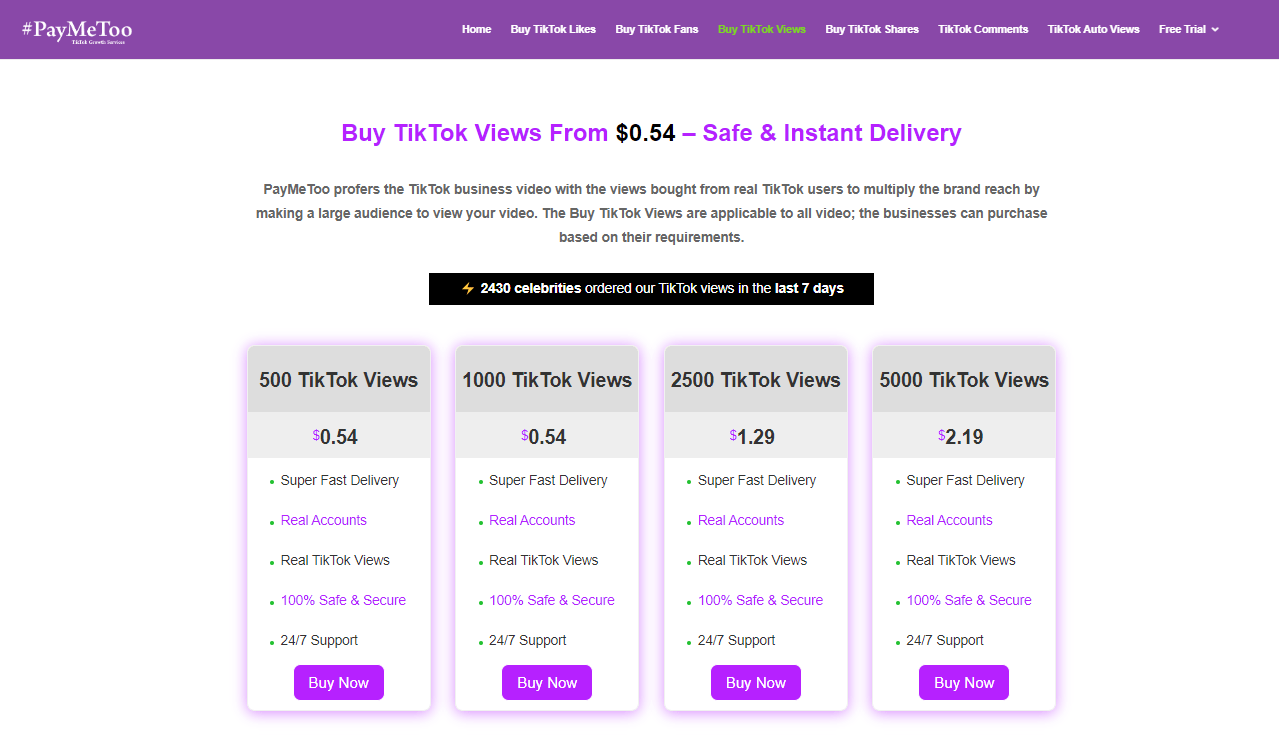 PayMeToo TikTok Views Site Homepage Screen
