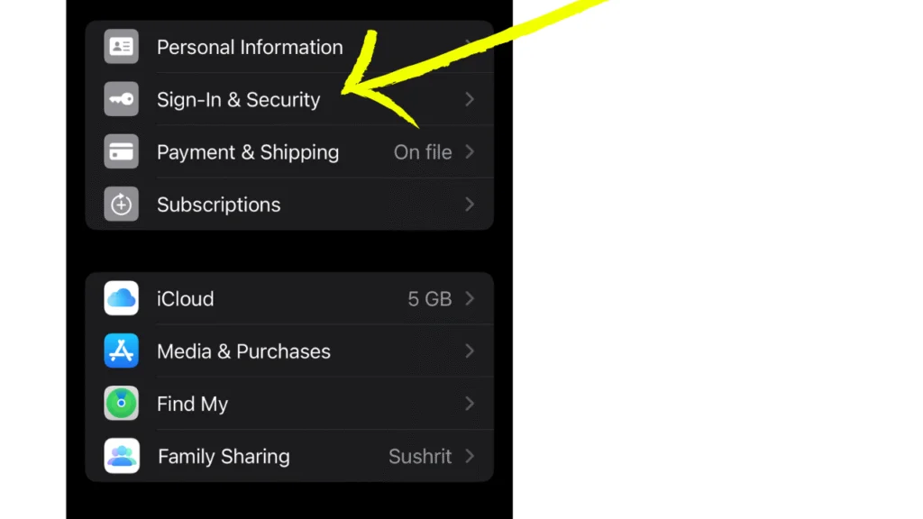 Iphone Sign-in & security option