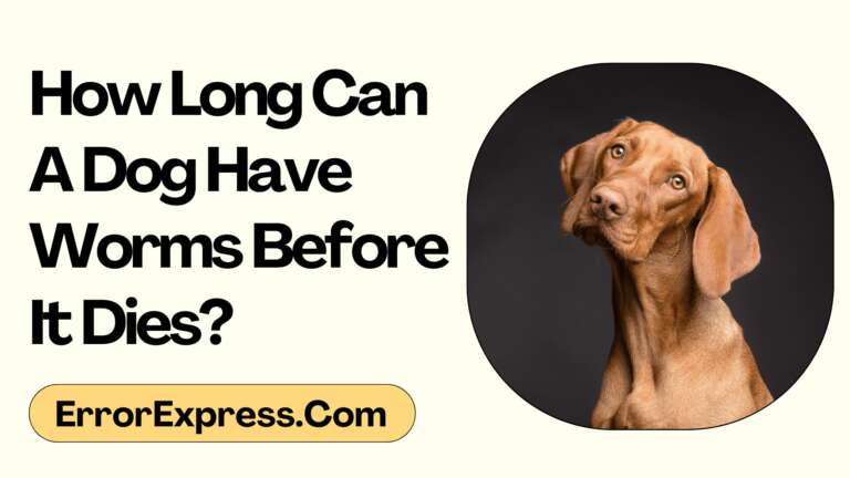 How Long Can A Dog Have Worms Before It Dies
