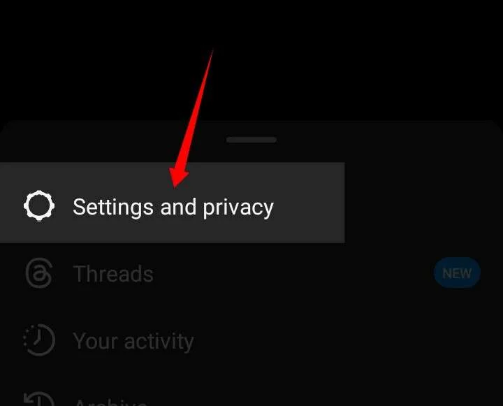Instagram settings and privacy option
