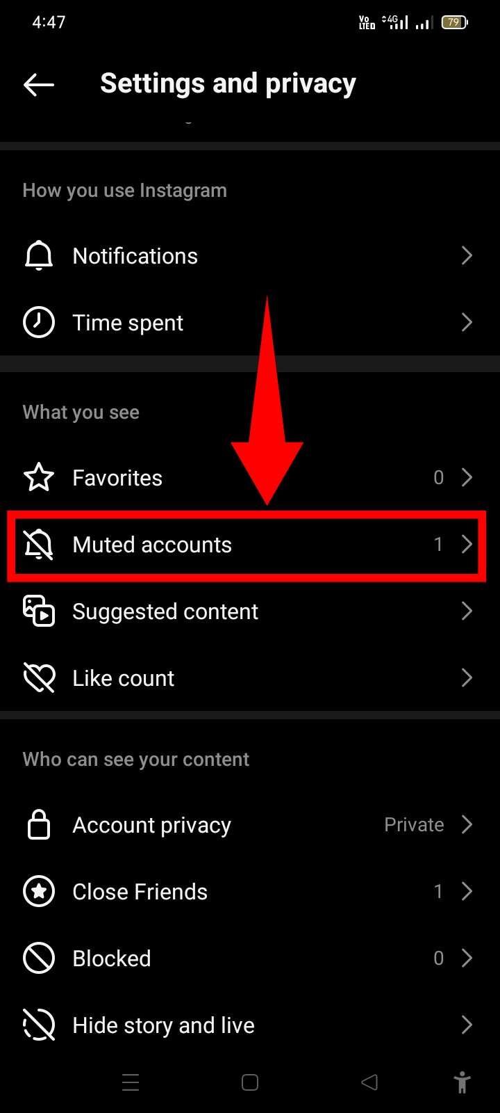 Tap on Muted Accounts on Instagram