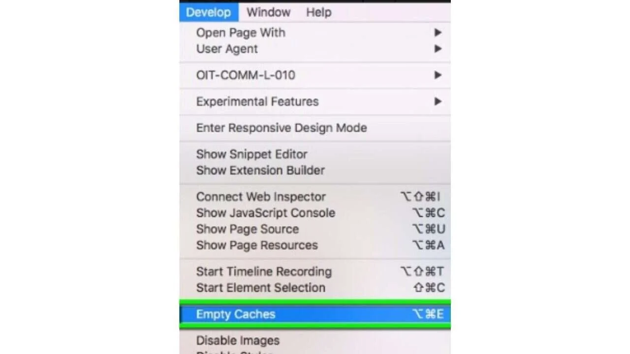 Select empty cache from safari browser