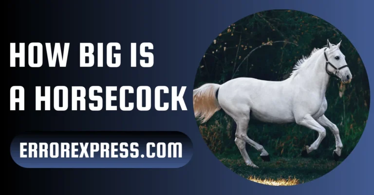How Big Is A Horsecock {Answered Here}