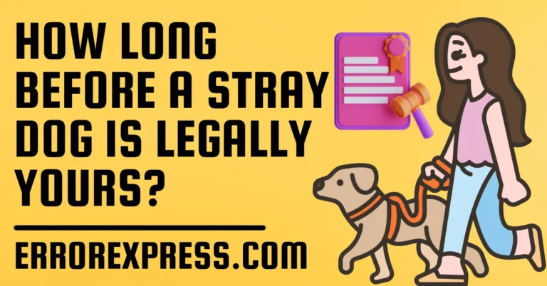 How Long Before A Stray Dog Is Legally Yours