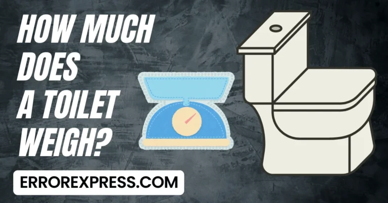 How Much Does A Toilet Weigh - Find the Answer